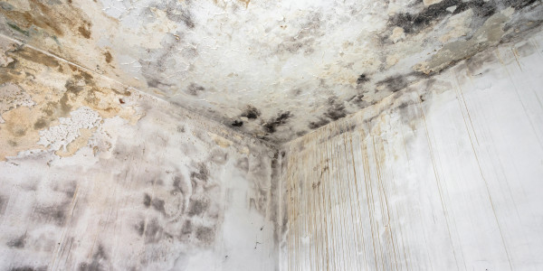 Pintar Fachadas de Casas Unifamiliares / Chalets en Móstoles · Pintura Antihumedad / Antimoho para Humedades / Moho