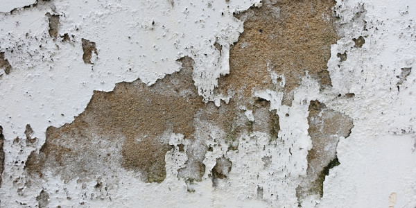 Pintar Fachadas de Empresas / Negocios / Locales Comerciales en Móstoles · Pintura Antihumedad / Antimoho para Humedades / Moho