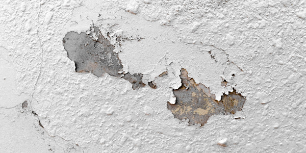 Pintar Fachadas de Naves Industriales, Fábricas y Almacenes en Móstoles · Pintura Antihumedad / Antimoho para Humedades / Moho